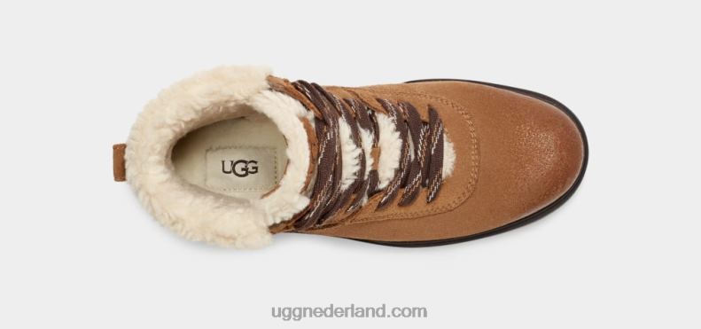 vrouwen kastanje UGG Harrison gezellig kant 686ZP663
