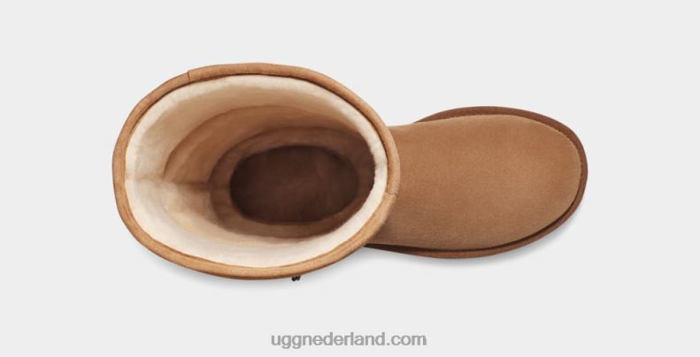 vrouwen kastanje UGG klassiek ultra lang 686ZP756