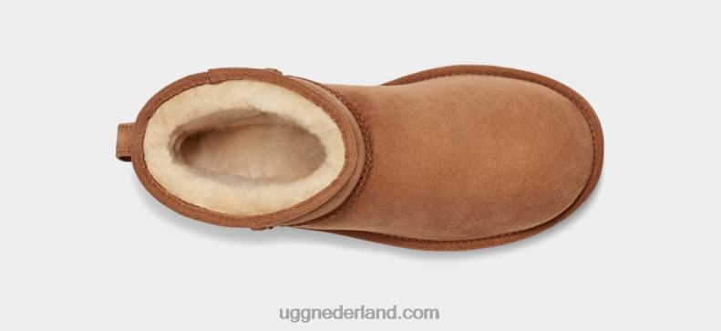 vrouwen kastanje UGG klassieke mini ii laars 686ZP473