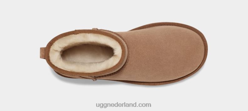 vrouwen kastanje UGG klassieke mini regenereren 686ZP5