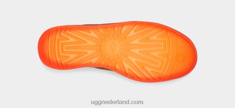 vrouwen kastanje UGG klassieke technische mini 686ZP835