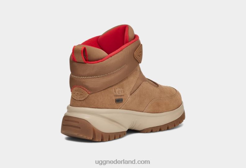 vrouwen kastanje suède UGG je korte ritssluiting 686ZP57