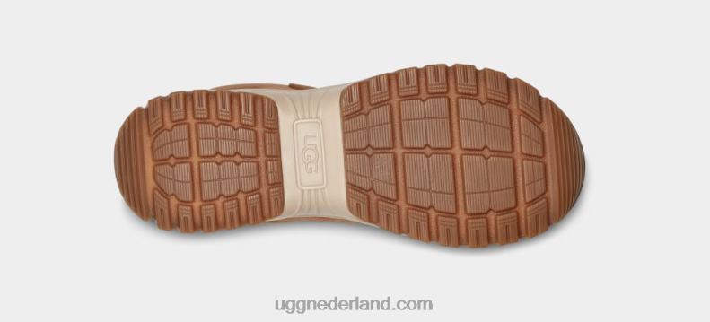 vrouwen kastanje suède UGG je korte ritssluiting 686ZP57