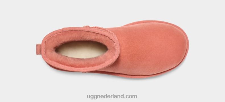 vrouwen klei pot UGG klassieke mini ii laars 686ZP2147