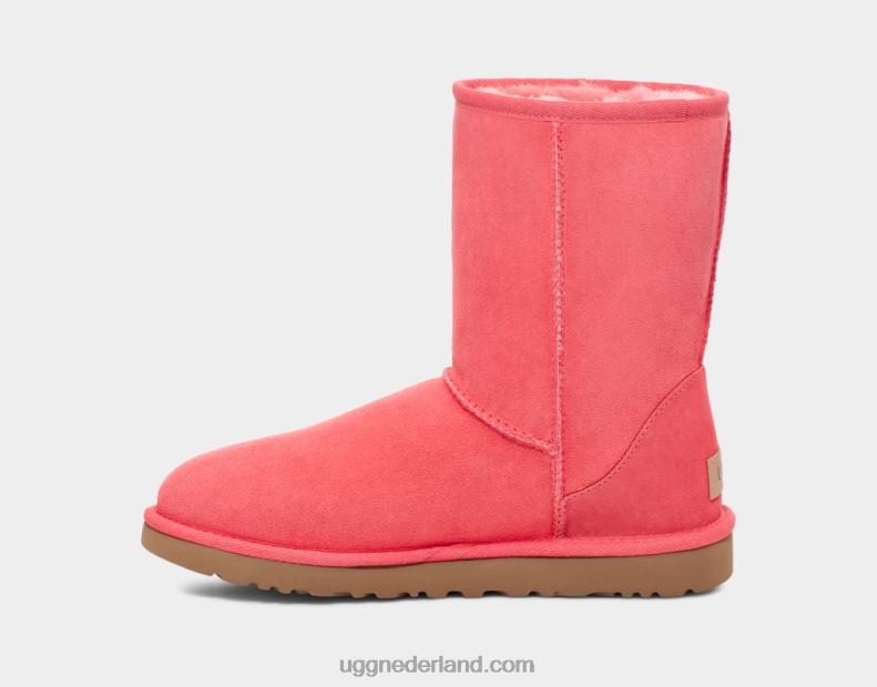 vrouwen nantucket koraal UGG klassieke korte ii laars 686ZP717