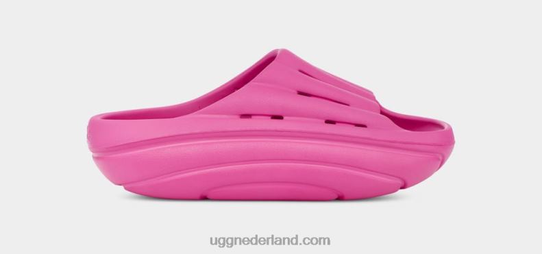 vrouwen draken fruit UGG schuim glijbaan 686ZP375