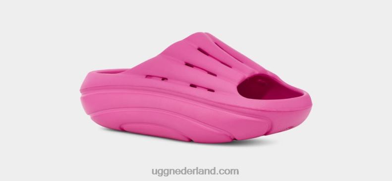 vrouwen draken fruit UGG schuim glijbaan 686ZP375