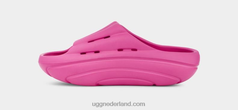 vrouwen draken fruit UGG schuim glijbaan 686ZP375