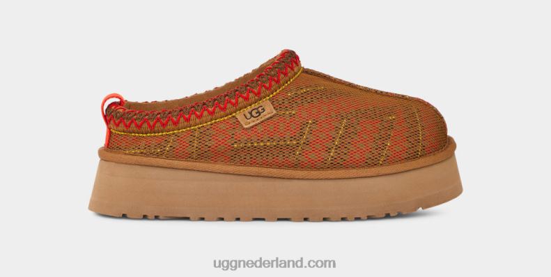 vrouwen kastanje UGG tazz maxi tasman 686ZP689