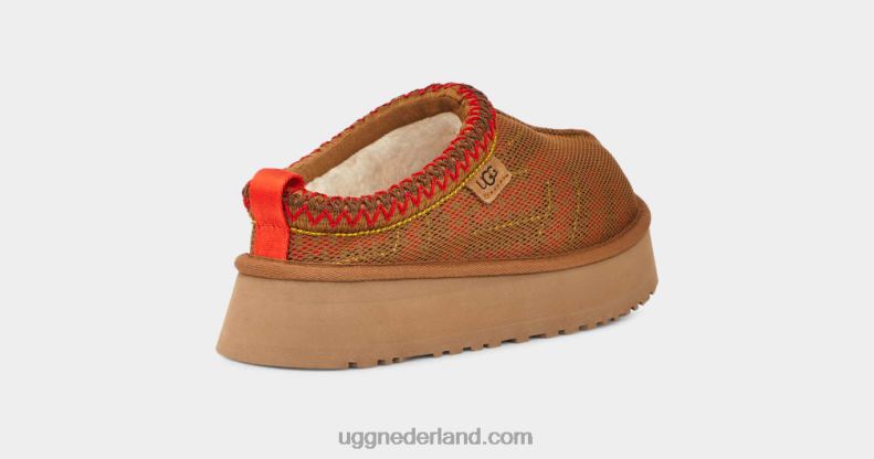 vrouwen kastanje UGG tazz maxi tasman 686ZP689
