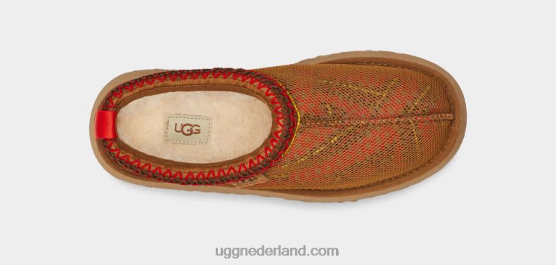 vrouwen kastanje UGG tazz maxi tasman 686ZP689