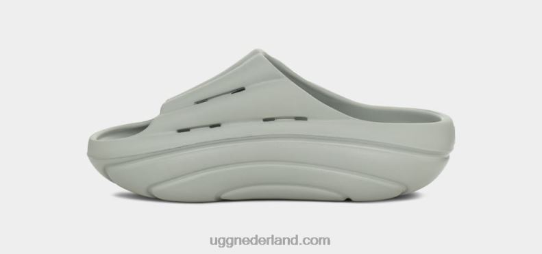 vrouwen windhond UGG schuim glijbaan 686ZP378