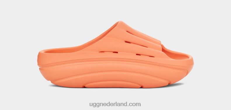 vrouwen zoete perzik UGG schuim glijbaan 686ZP376