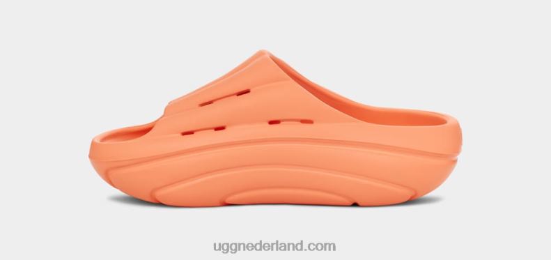 vrouwen zoete perzik UGG schuim glijbaan 686ZP376
