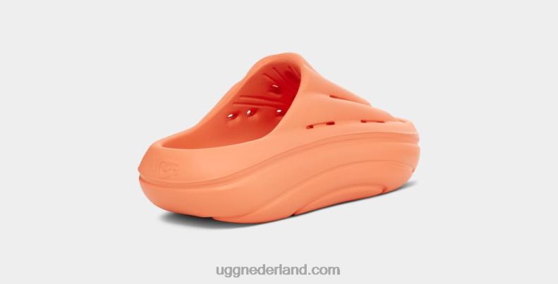vrouwen zoete perzik UGG schuim glijbaan 686ZP376