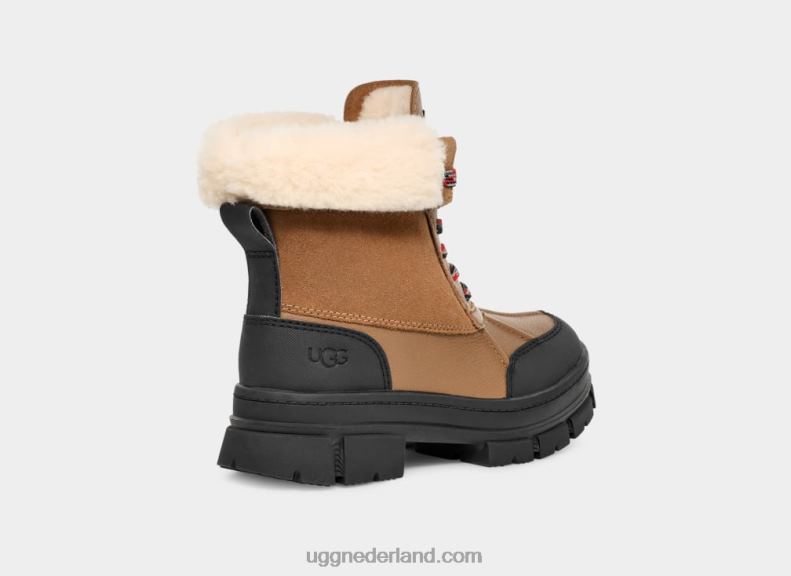 vrouwen kastanje UGG Ashton Addie 686ZP548