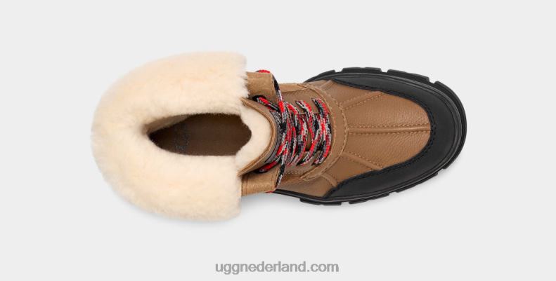 vrouwen kastanje UGG Ashton Addie 686ZP548