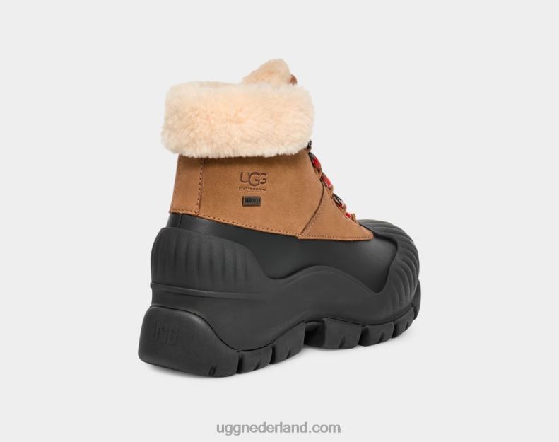 vrouwen kastanje UGG adiroam wandelaar 686ZP8